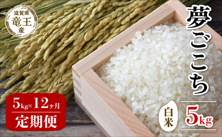 【 先行予約 】 新米 夢ごこち 白米 5kg 定期便 12ヶ月
