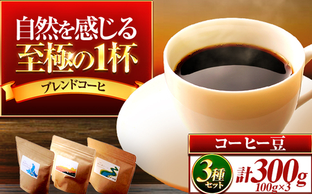 珈琲300g 小浜セット(豆) / コーヒー 珈琲  美味しい 小浜市 / topiv [BFAI015]