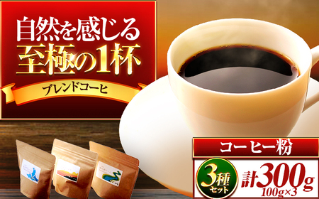 珈琲300g 小浜セット(粉) / コーヒー 珈琲  美味しい 小浜市 / topiv [BFAI017]