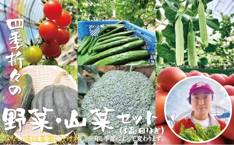 四季折々の野菜・山菜セット（5品目ほど）　45P3203【ひない渡辺農園しどけ村】