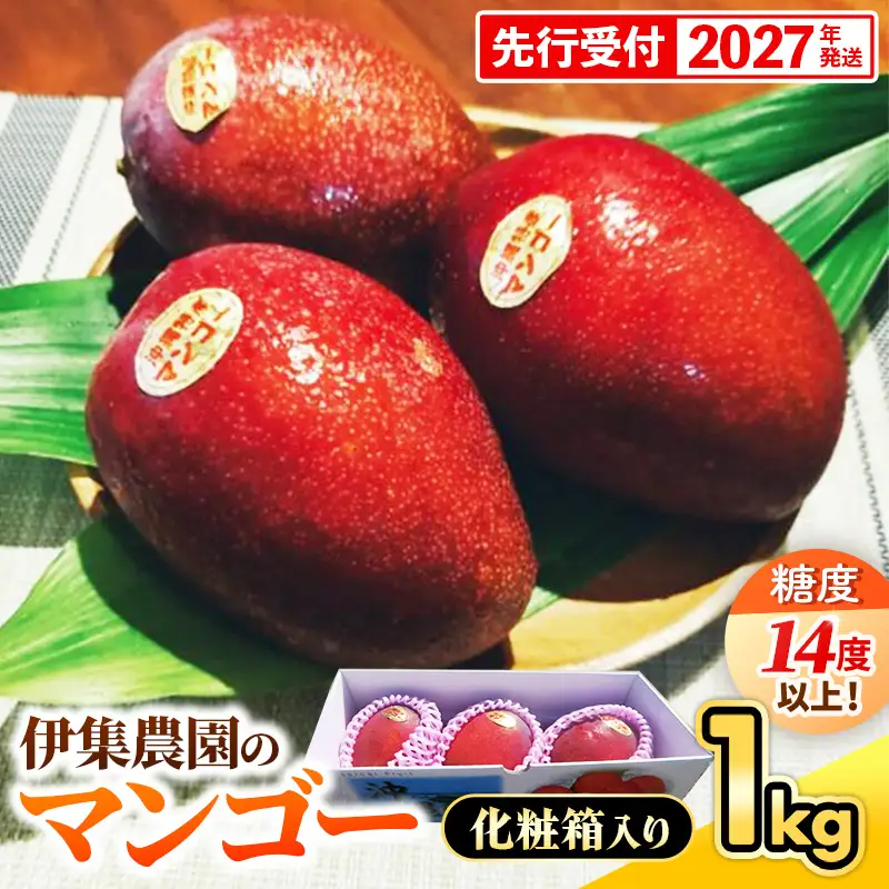 【化粧箱入】【先行受付・2027年発送】【糖度14度以上】伊集農園 沖縄県産マンゴー（贈答用）約1kg - 先行予約 沖縄 産地直送 南国フルーツ 旬の味覚 旬のフルーツ 沖縄県 八重瀬町
