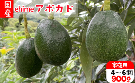 アボカド 国産 約900g アボカド【HYN002】
