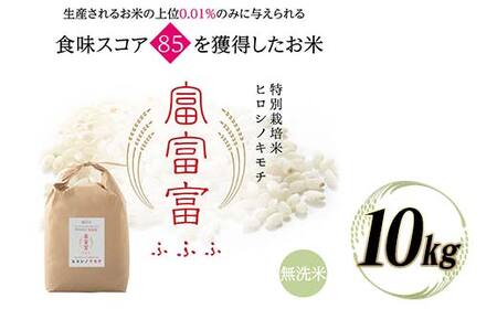 富山県ブランド米 富富富 無洗米 10kg ふふふ ブランド米 国産 米 お米 日本米 ギフト 贈り物 備蓄 防災 食品 陽咲玲 はるざれ F6T-1012