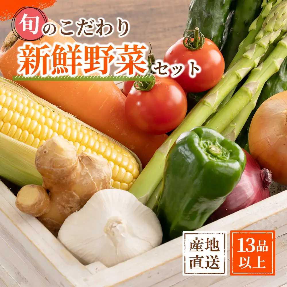 野菜セット　旬の新鮮野菜 大満足な13種以上　印南町　人気　やさい