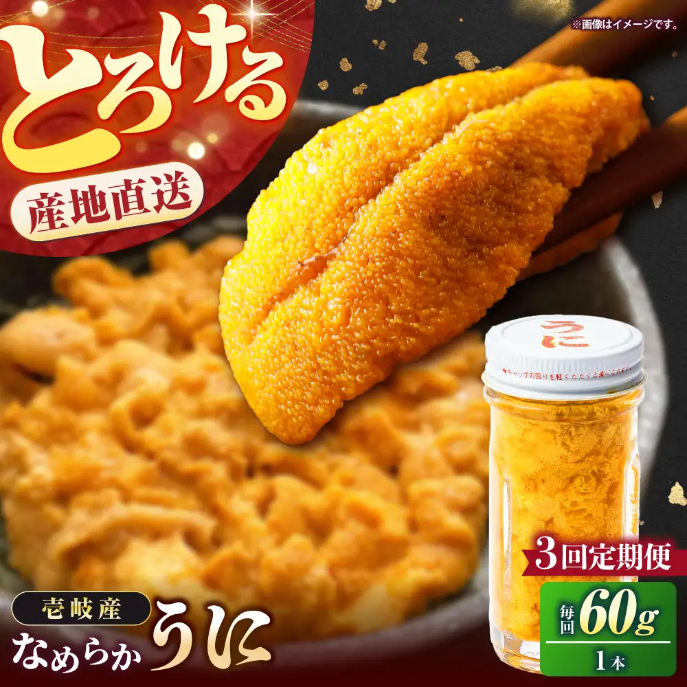 生うに（全3回定期便） 60g×1本 [JEH025] うに