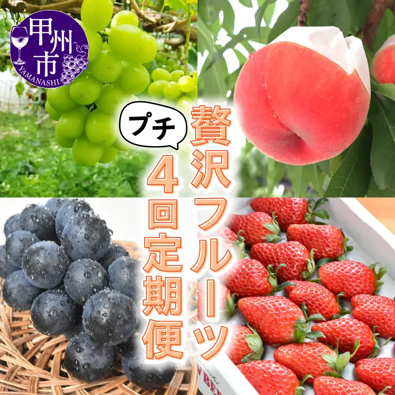 【定期便】贅沢な味わい少量 くだもの 4回 定期便（KSB）D5-131