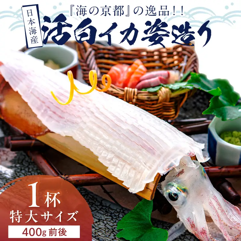 日本海産『海の京都』の逸品！！　活白イカ姿造り（クリスタル白いか）特大サイズ 1杯（400g前後）（2027年6月上旬～発送） ふるさと納税 海鮮 鮮度抜群 新鮮 海鮮 いか イカ 簡単調理 生産者応援 送料無料 生食 魚介類 活イカ 日本海産 刺身 BBQ 美味 逸品