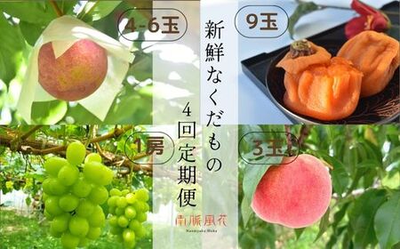 南アルプス市の味をお届け！新鮮なくだもの4回定期便 ALPAJ004