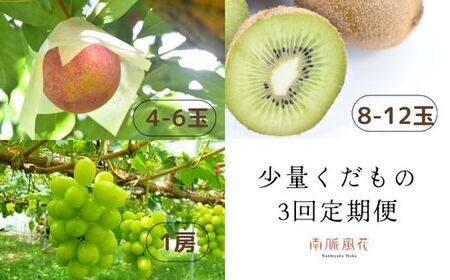 南アルプス市からのちいさな贈り物！少量くだもの定期便 ALPAJ003