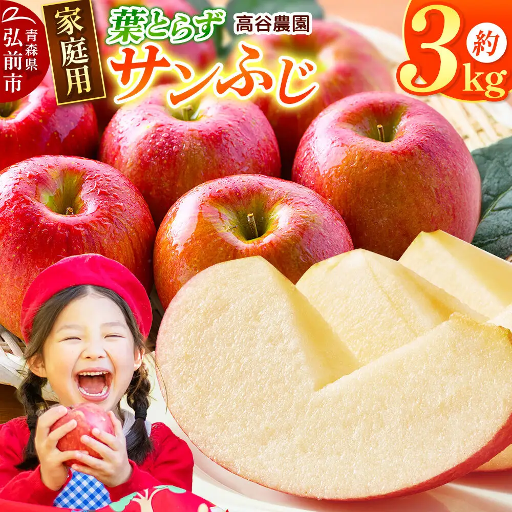 りんご 葉とらず サンふじ 約3kg 家庭用【12月発送】りんご