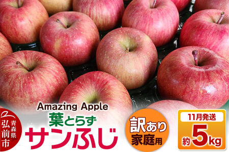【26年11月下旬発送】りんご 葉とらずサンふじ【訳あり】家庭用 約5kg