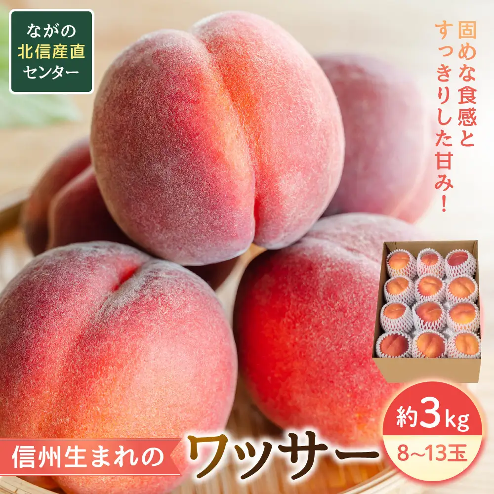 2026年発送　長野市産　ワッサー　約3kg | 桃 もも モモ 桃
