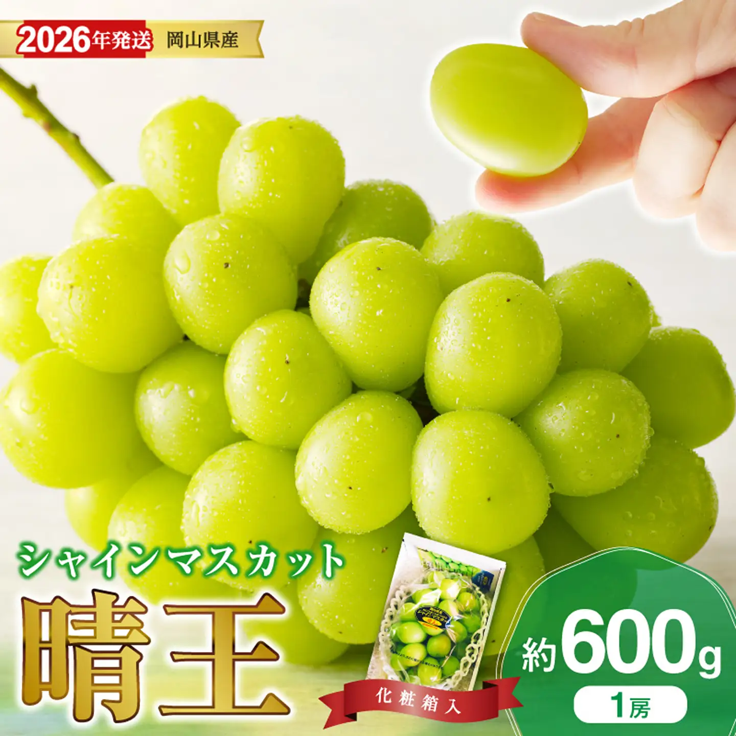 岡山県産 シャインマスカット 晴王 秀品 1房 約600g【シャインマスカット】hz-s