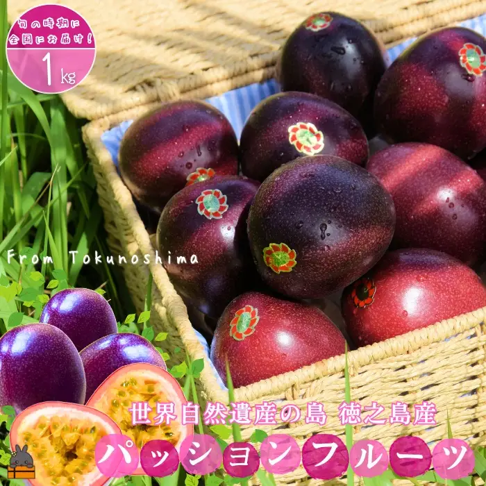 《今が旬！》太陽が育てた徳之島産パッションフルーツ（1kg） フルーツ 徳之島 奄美 果物