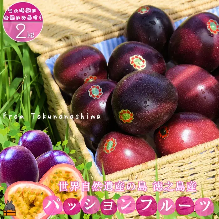 《今が旬！》太陽が育てた徳之島産パッションフルーツ（2kg） フルーツ 徳之島 奄美 果物