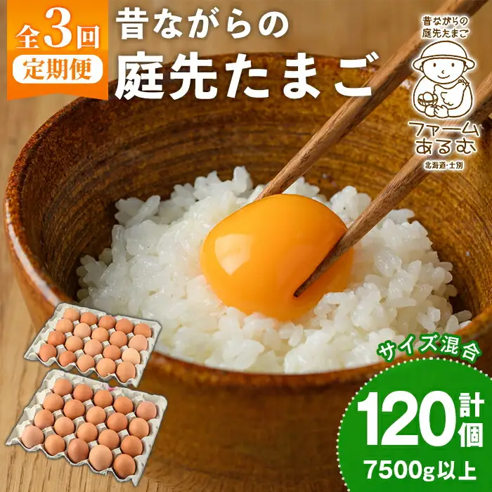 【定期便3回】平飼い 昔ながらの庭先 たまご 40個 サイズ混合 卵 玉子 【ファームあるむ】C7048