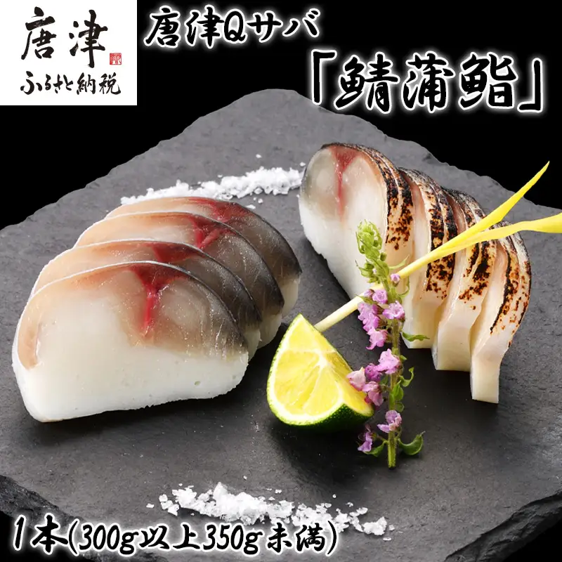 生の新食感 唐津Qサバ「鯖蒲鮨」1本(300g以上～350g未満)