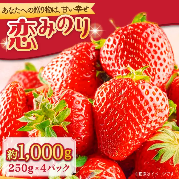 【2027年1月-発送】 いちご恋みのり 250g × 4パック [SAC007] いちご