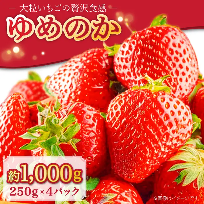【2027年1月-発送】 いちごゆめのか 250g × 4パック [SAC008] いちご