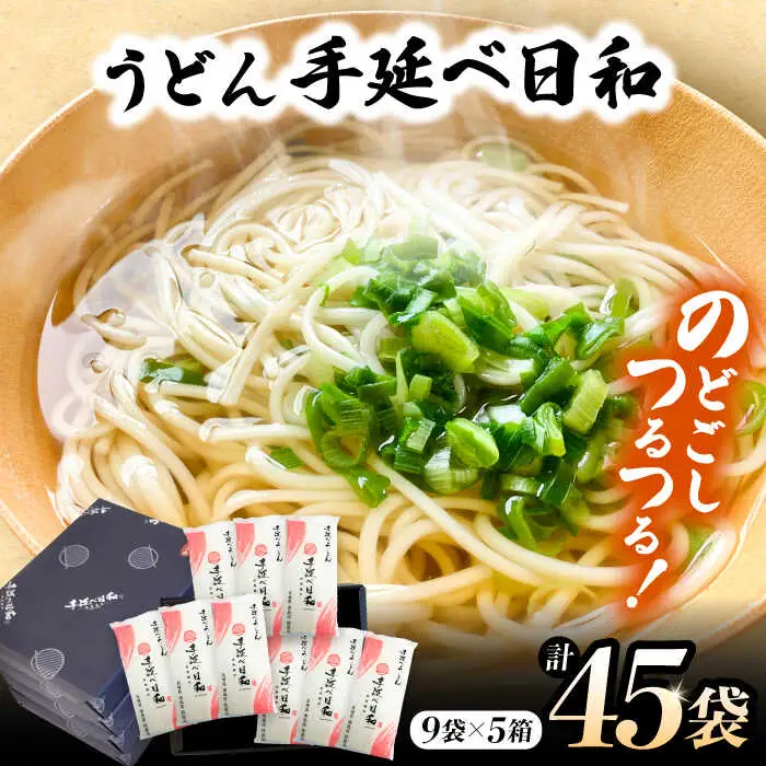手延べ日和 うどん 250g×9袋 5箱セット / 乾麺 麺 手延べうどん / 南島原市 / 舘製麺所 [SCE007]
