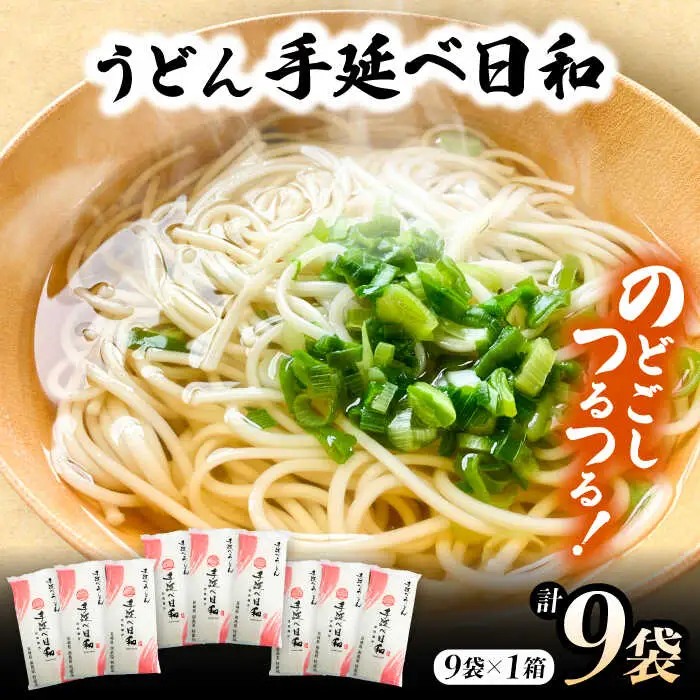 手延べ日和 うどん 250g×9袋 / 乾麺 麺 手延べうどん / 南島原市 / 舘製麺所 [SCE009]