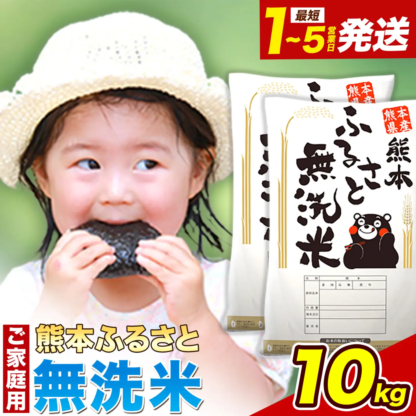 無洗米ふるさと無洗米 10kg(5kg×2袋)《1-5日以内に出荷予定(土日祝除く)》