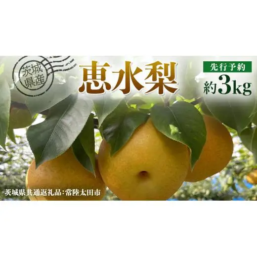 【 先行予約 】茨城県産 梨 恵水 約3kg 6玉～7玉 ( 茨城県共通返礼品 : 常陸太田市 )【 2026年 9月中旬頃より発送 】