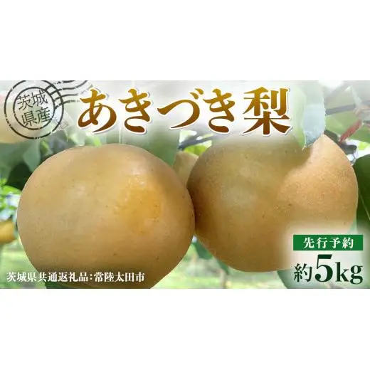 【 先行予約 】茨城県産 梨 あきづき 約5kg 8玉～12玉 ( 茨城県共通返礼品 : 常陸太田市 ) 【 2026年 9月中旬頃より発送 】