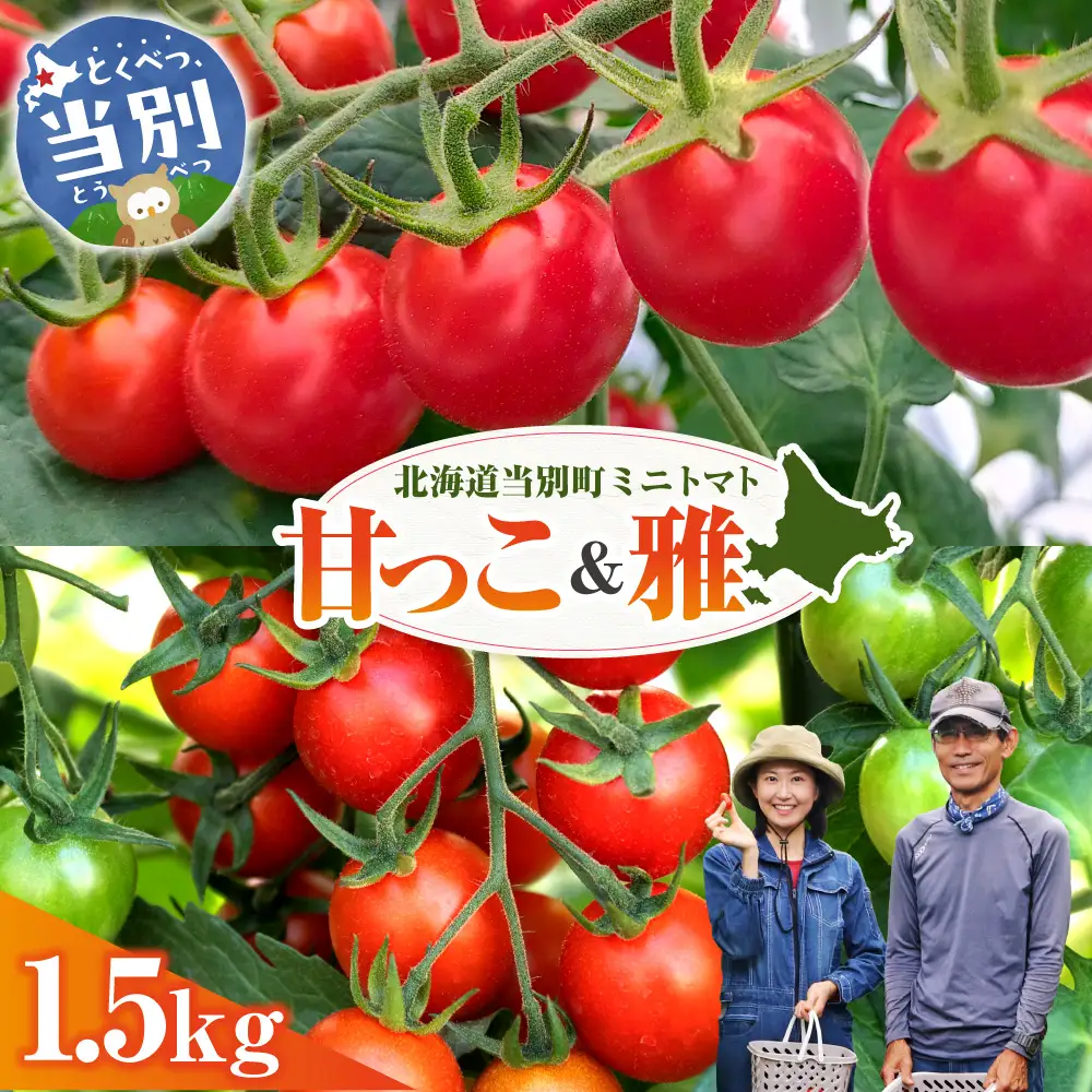 北海道当別町産化学農薬不使用ミニトマト：甘っ子 750g 雅 750g 計1.5kg 北海道産 トマト 野菜 大容量 北海道 当別町
