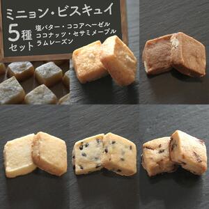 【Cafe悠花】ミニョン・ビスキュイ　塩バター・ココアヘーゼル・ココナッツ・セサミメープル・ラムレーズン　5種セット