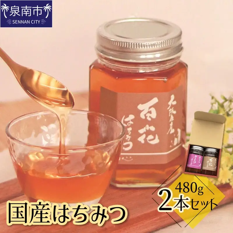 国産はちみつ480g 2本セット【090D-002】