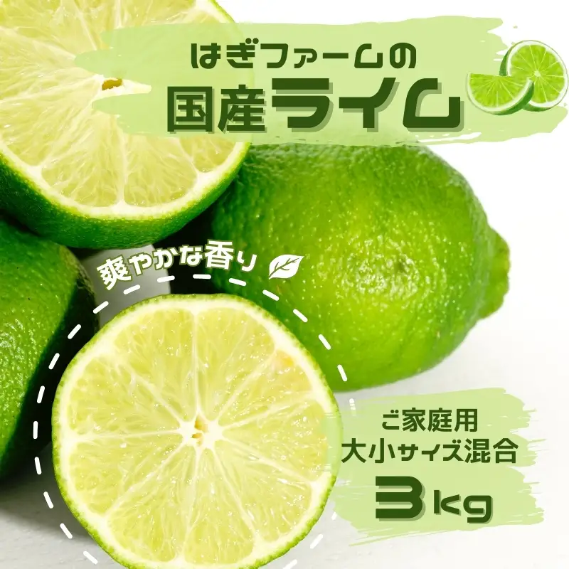 ご家庭用 はぎファームの 国産ライム 3kg　大小サイズ混合(30～35個前後) 【2026年8月下旬頃から順次発送予定】 / ライム 国産 らいむ 【hgf006】