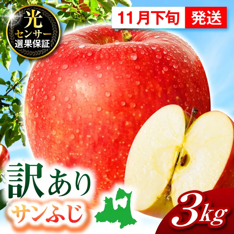 【2026年11月下旬発送】【訳あり】 りんご 約3kg サンふじ 青森 家庭用 りんご