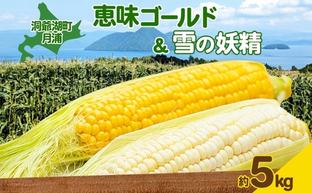 とうもろこし めぐみゴールド 雪の妖精 食べ比べ 北海道産 とうもろこし【5kg】【先行予約】