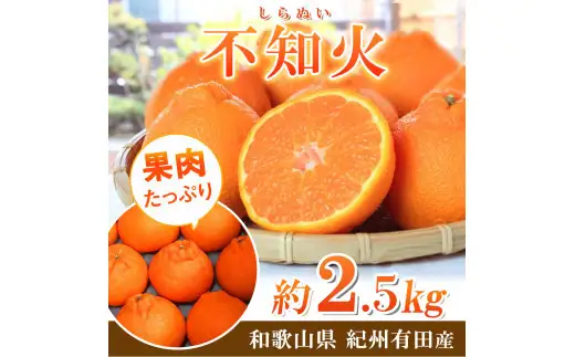 紀州 有田産 不知火 (しらぬひ)  2.5kg ※2027年2月中旬頃〜3月中旬頃発送予定 【uot794】