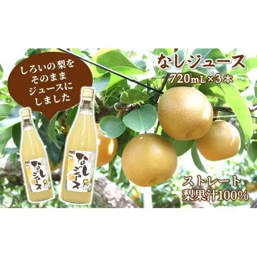 梨ジュース 720ml×3本 豊水 梨果汁100％ ストレートジュース 果汁飲料 梨 フルーツジュース ギフト 贈り物 ジュース 丸絞り