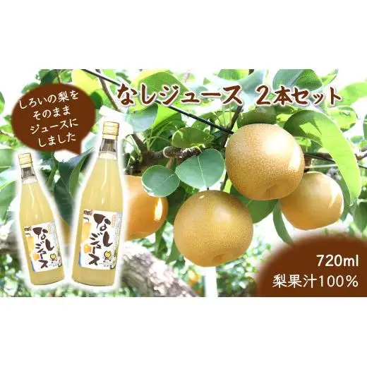 梨ジュース 720ml×2本 豊水 梨果汁100％ ストレートジュース 果汁飲料 梨 フルーツジュース 箱入り ギフト 贈り物 ジュース 丸絞り