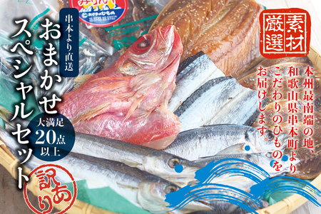 干物 セットたっぷり20点以上！ひもの「おまかせスペシャルセット」【訳あり】【冷蔵】【ozk103】
