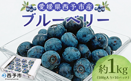 ＜愛媛県西予市産 ブルーベリー 約1kg（100g入り×10パック）＞ ぶるーべりー 果実 果物 生 くだもの フルーツ 国産 小分け ジャム スムージー 株式会社フジ・アグリフーズ 愛媛県 西予市【冷蔵】『2025年7月～8月末迄に順次出荷予定』OFA0006