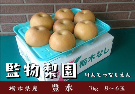 栃木県産 梨【豊水】3kg（8～6玉） ※2026年9月～発送