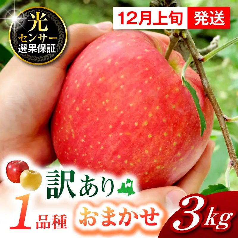 【2026年12月上旬発送】【訳あり】りんご 約3kg  1品種おまかせ 青森産 りんご