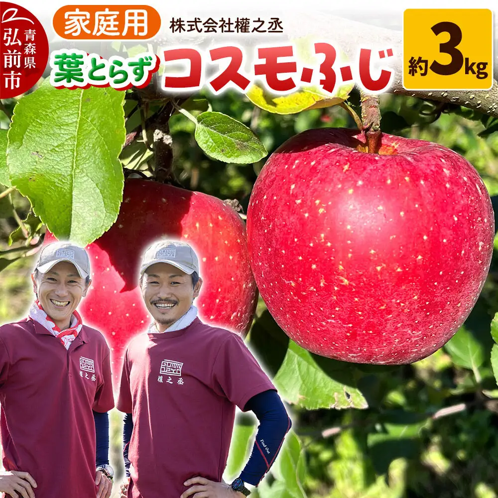 【26年11月下旬～発送】りんご コスモふじ【家庭用】約3kg 權之丞 葉とらずりんご 青森りんご 先行受付 青森県 弘前市 果物 フルーツ 林檎 リンゴ くだもの 不揃い 規格外