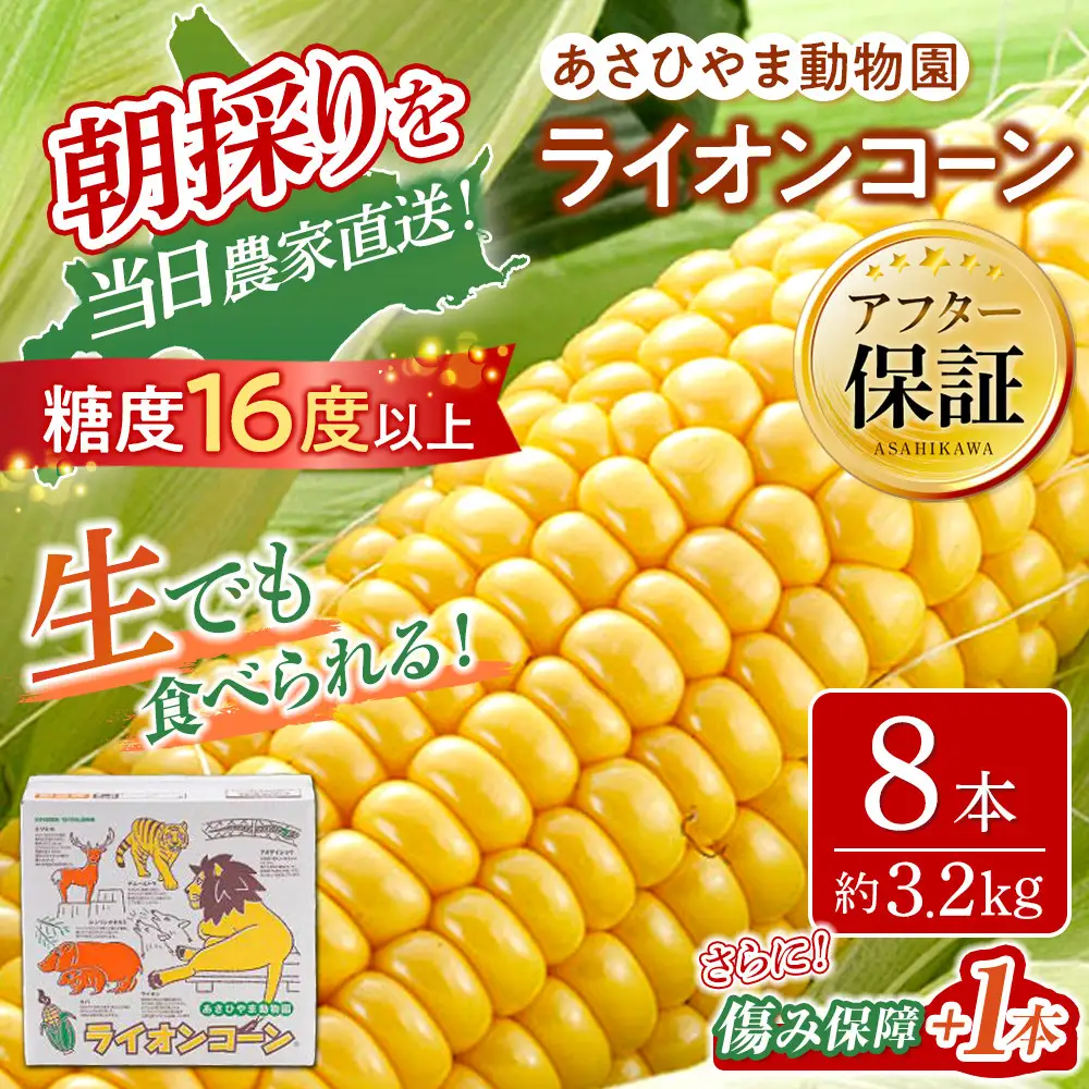 【先行予約】あさひやま動物園ライオンコーン3.2kg(ゴールドラッシュ8本)2026年8月下旬から発送開始 | とうもろこし 北海道産とうもろこし _03812