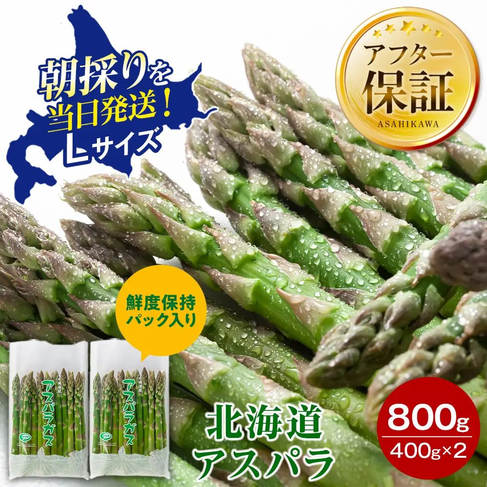 【2027年先行予約】露地物朝採りアスパラ　鮮度保持フィルム入り　Lサイズ　400g×2　合計800g（5月中旬発送開始予定）| アスパラ 北海道 _03818
