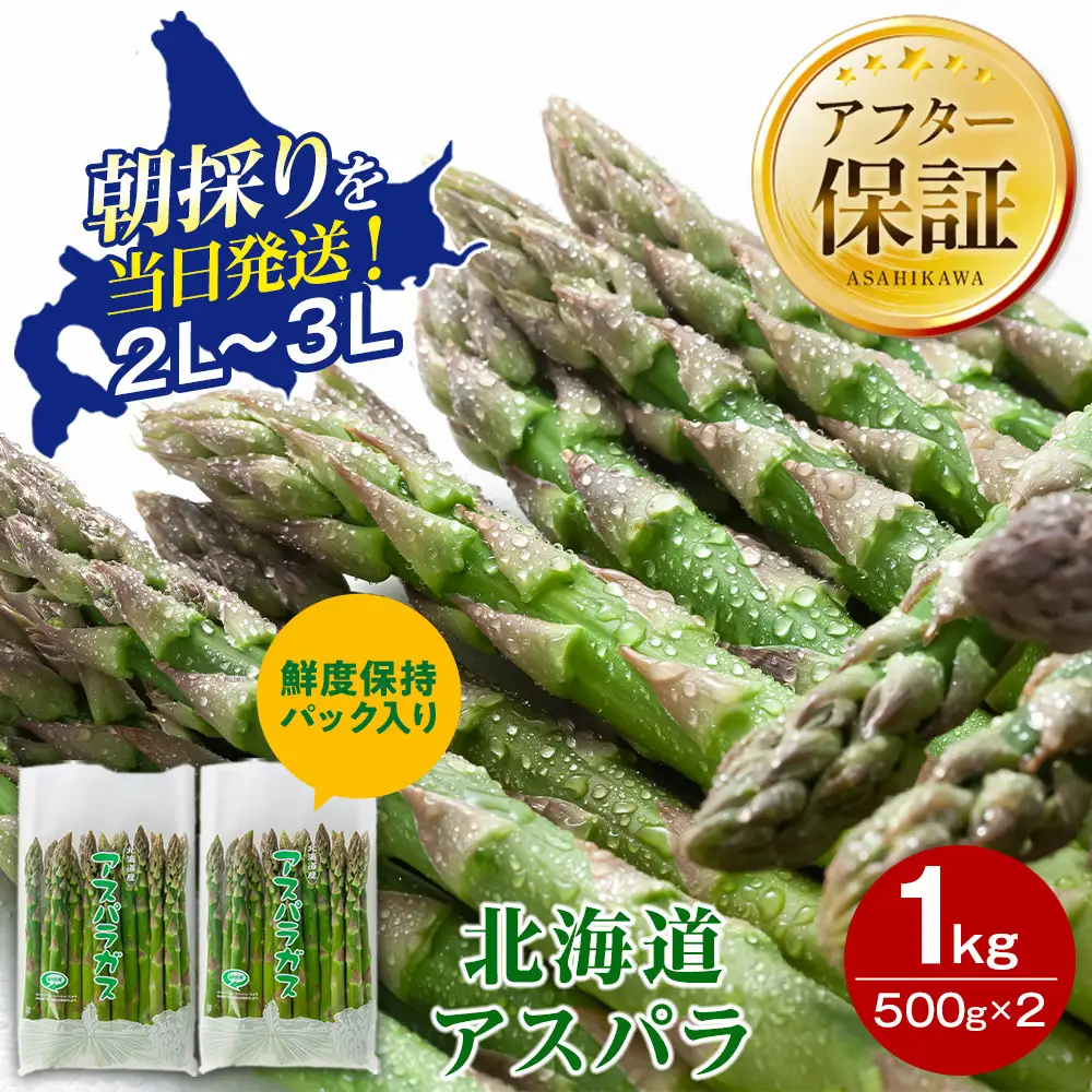 【2027年先行予約】露地物朝採りアスパラ　鮮度保持フィルム入り　2～3L　500g×2　合計1kg（5月中旬発送開始予定）| アスパラ 北海道 _03817