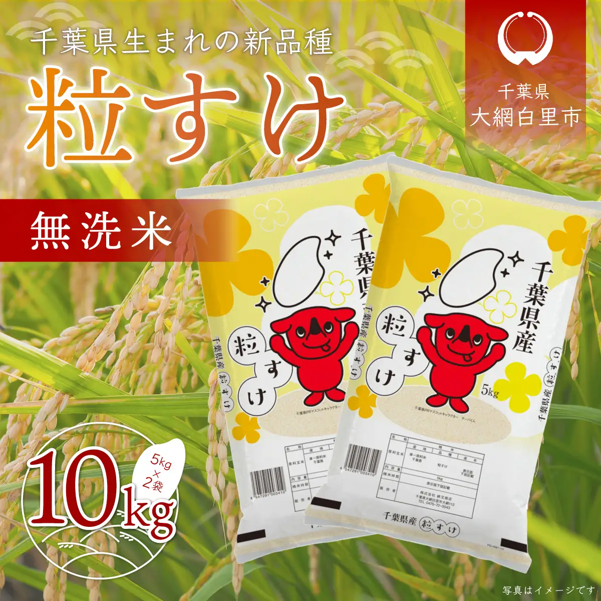 令和7年産 千葉県産「粒すけ」10kg無洗米（5kg×2袋）  A044