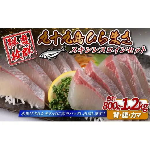 【ヒラマサ】ヒラス 800g～1.2kg ひらまさ 刺身A446