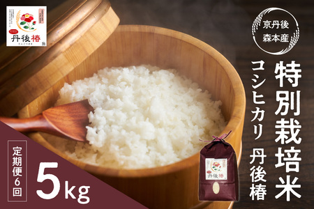 令和8年産 特別栽培米コシヒカリ 丹後椿（京丹後森本産） 5kg【定期便6回】