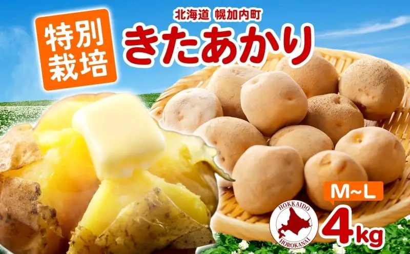 ＜2026年秋以降出荷＞ 北海道 じゃがいも きたあかり M～L 約4kg 特別栽培 ジャガイモ 馬鈴薯 キタアカリ 芋 イモ ポテト 北あかり 野菜 農作物 お取り寄せ 産地直送 北海道産 畑農場 送料無料 幌加内 