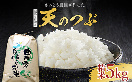 2026年産米 さいとう農園が作った天のつぶ 精米5kg 白米 【先行予約】2026年11月下旬より順次発送 ご飯 ごはん ライス 伊達市 F21C-167